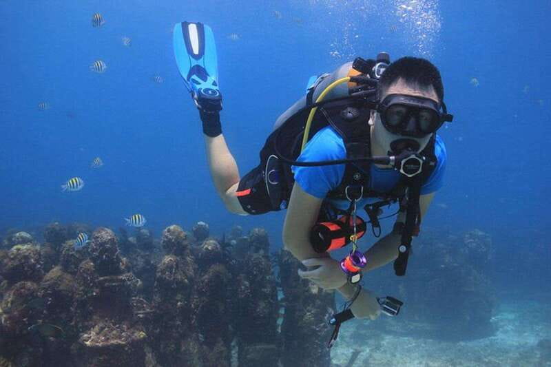 Cancun: Dive Underwater Museum & Manchones Reef - Key highlights to know before you go