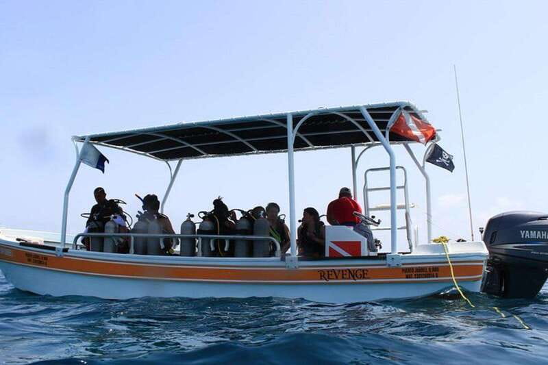 Cancun: Dive Underwater Museum & Manchones Reef - Price and value: $119 is fair, if you budget the extras