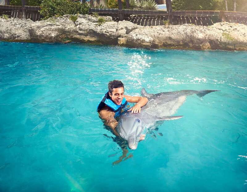 Cancún: Dolphin Encounter on Isla Mujeres with Buffet - Key things to know before you go