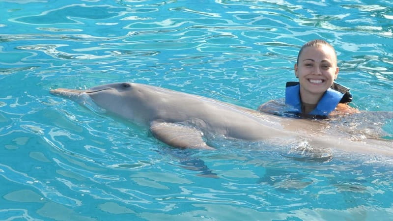 Cancún: Dolphin Encounter on Isla Mujeres with Buffet - Dolphin Discovery on Isla Mujeres: what the encounter is really like