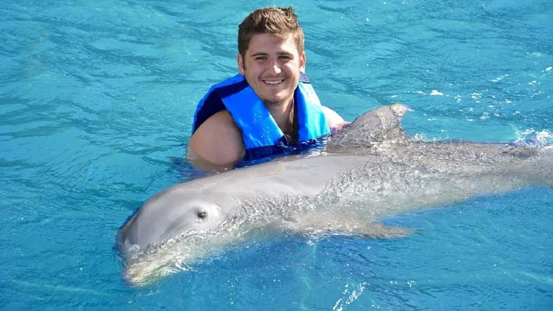 Cancún: Dolphin Encounter on Isla Mujeres with Buffet - The dolphin interaction rules: underwater platform and no-phone reality