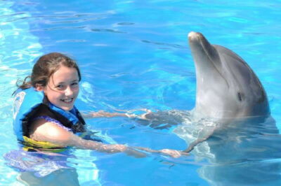Dolphin Encounter on Isla Mujeres with Buffet