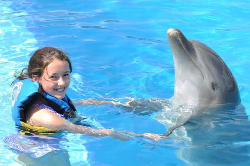 Cancún: Dolphin Encounter on Isla Mujeres with Buffet - The people-fit question: who will love it most