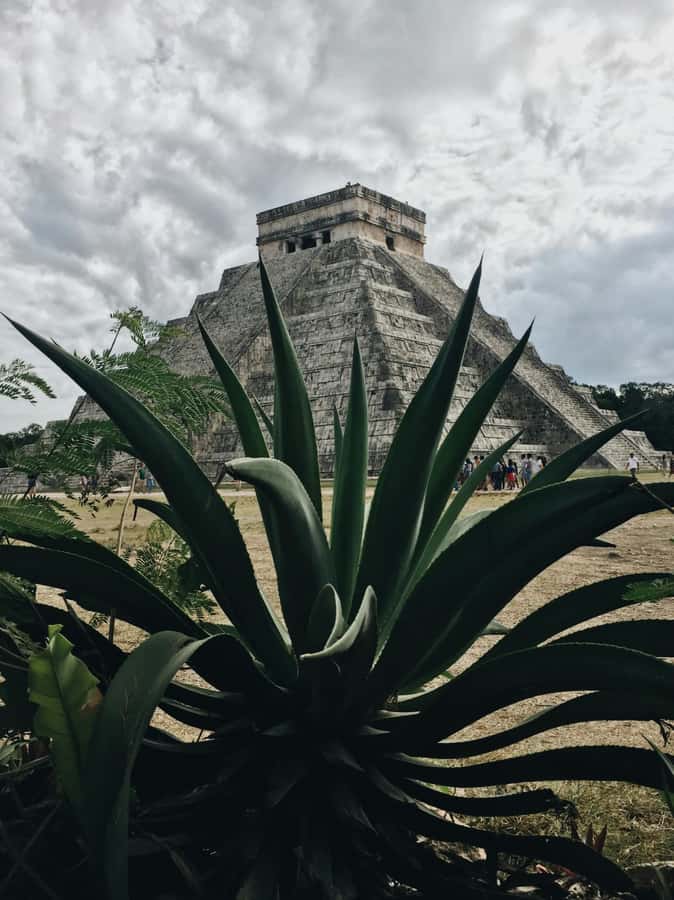 Cancun: Exclusive sunrise at Chichen Itza with an expert guide - Price and value: what you are paying for, even without the sticker shock