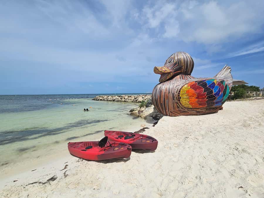 Cancun: Go Kart Adventure! 90 min Guided Tour in Hotel Zone - A quick reality check on refunds and start-time risks