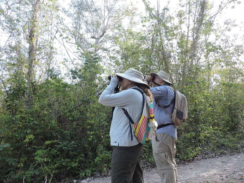 Cancún: Guided Birdwatching Hike - Quick hits you’ll care about