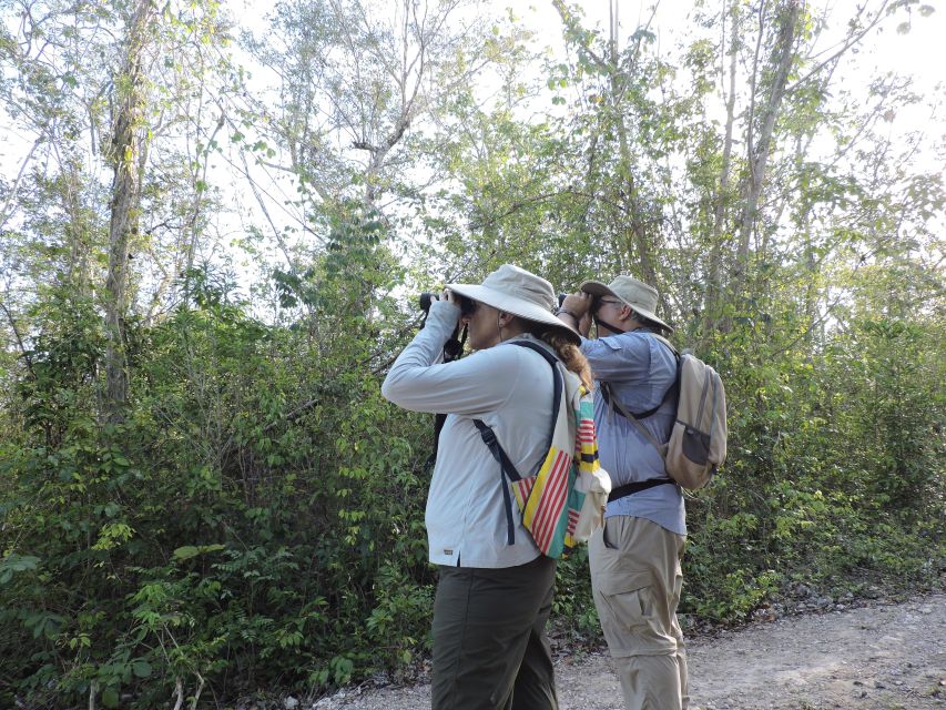 Cancún: Guided Birdwatching Hike - Guide-led birding you can actually use