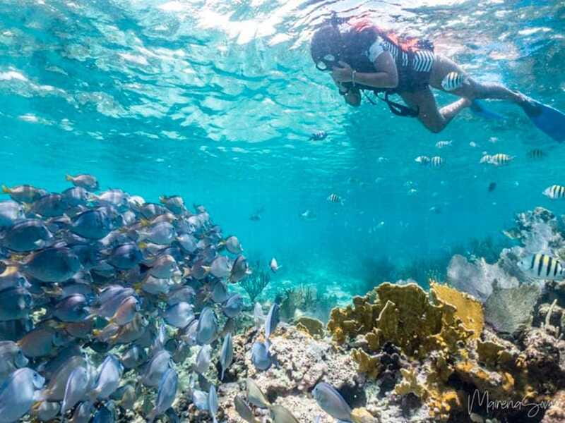 Cancun: Half Day Private Catamaran to Isla Mujeres - Should you book this private catamaran to Isla Mujeres?