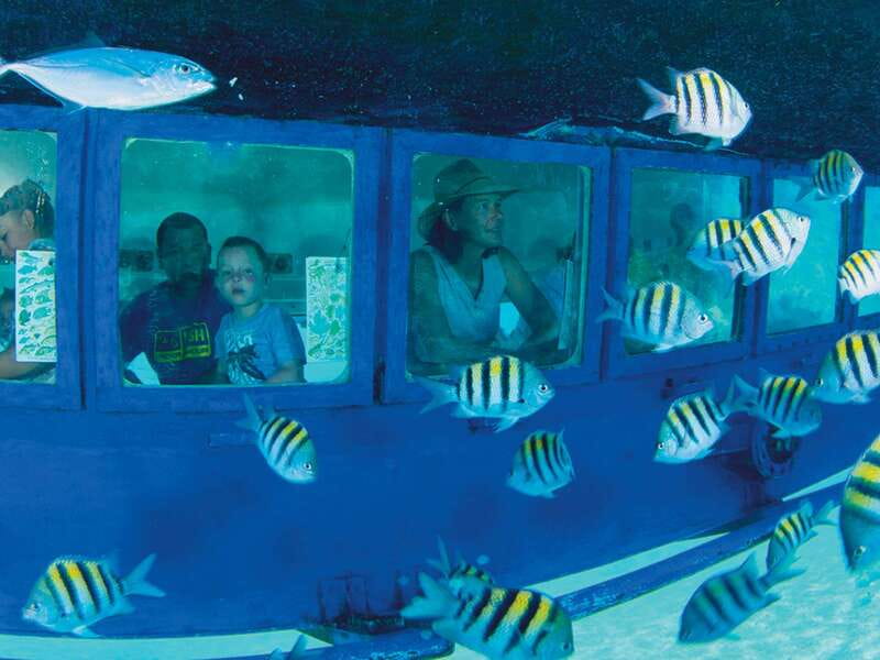 Cancún: Hop-on Hop-off Bus Tour with Submarine Trip - A One-Day Route Through Cancun’s Downtown and Hotel Zone