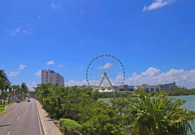 Hop-On-Hop-Off Sightseeing Bus Tour