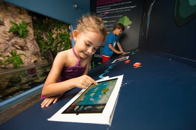 Cancún: Interactive Aquarium Admission - How Long It Takes and How to Pair It With Your Day