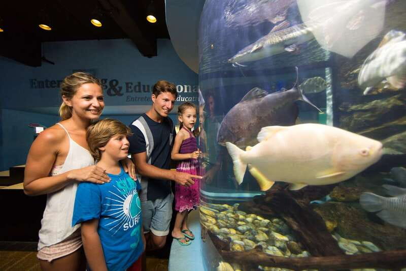 Cancún: Interactive Aquarium Admission - Interactive Aquarium Cancún, Inside Plaza La Isla