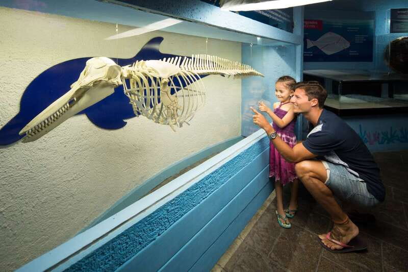 Cancún: Interactive Aquarium Admission - Touch Tanks: Where This Aquarium Gets Its Best Reviews