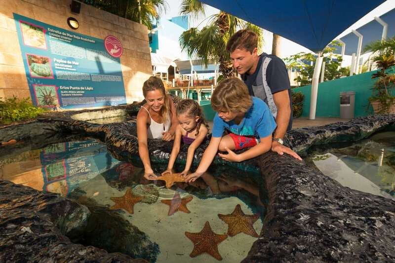 Cancún: Interactive Aquarium Admission - Dolphins and Colorful Corals, Without Needing Extra Add-Ons