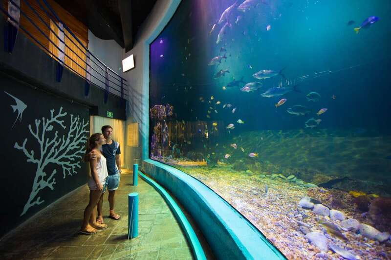 Cancún: Interactive Aquarium Admission - Included vs. Not Included: What Your Ticket Covers