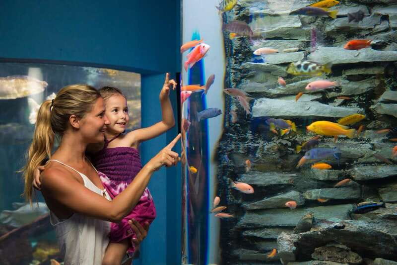 Cancún: Interactive Aquarium Admission - Price and Value: Is $17 a Fair Deal?