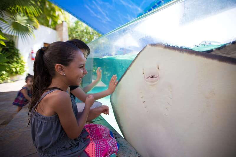 Cancún Interactive Aquarium Admission + Dolphin Presentation - Plaza La Isla entry, timing, and what you really pay for