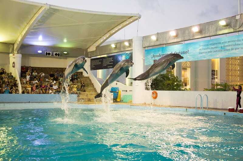 Cancún Interactive Aquarium Admission + Dolphin Presentation - Axolotl Exhibit and the iPad zone for extra learning time