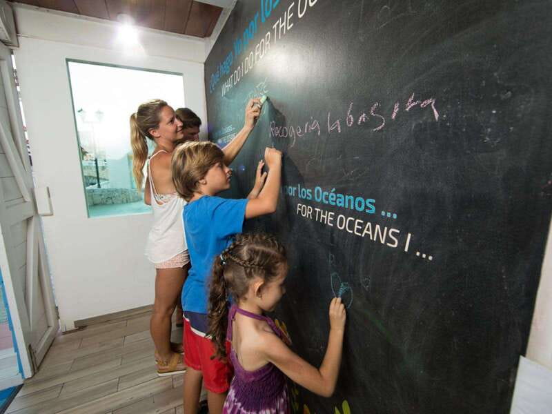 Cancún Interactive Aquarium Admission + Dolphin Presentation - Price and extras: what $26 includes, and what it does not