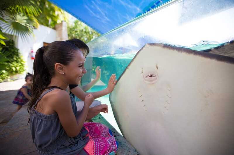 Cancún Interactive Aquarium Admission + Dolphin Presentation - Who this works for (and who should rethink it)