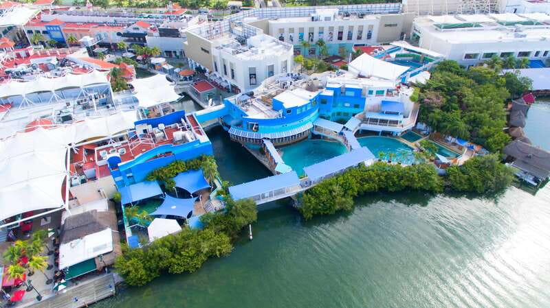 Cancún Interactive Aquarium Admission + Dolphin Presentation - Walking the interactive aquarium tanks with 140+ species