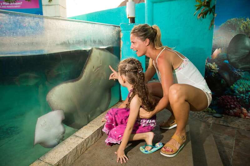 Cancún: Interactive Aquarium Admission - What You’ll See: 140+ Species and the Big 1,195 Specimen Tank