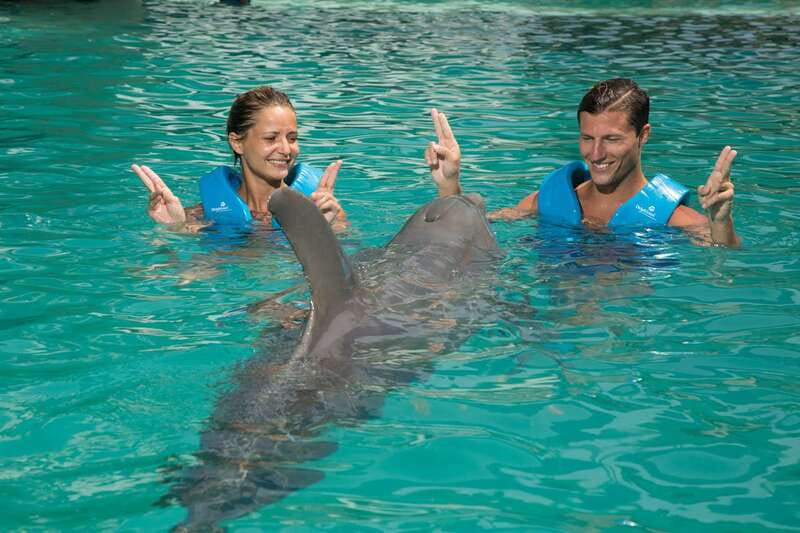 Cancun: Interactive Aquarium - Swim with dolphins Premium - Where You Start in Cancun: Plaza La Isla, Interactive Aquarium Cancun
