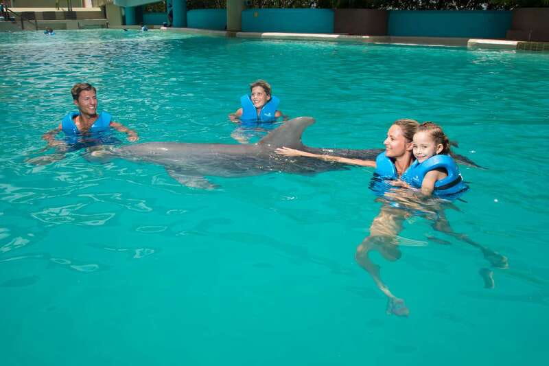 Cancun: Interactive Aquarium - Swim with dolphins Premium - The 1-Hour Plan: Briefing, Dolphin Time, and the Aquarium Trek