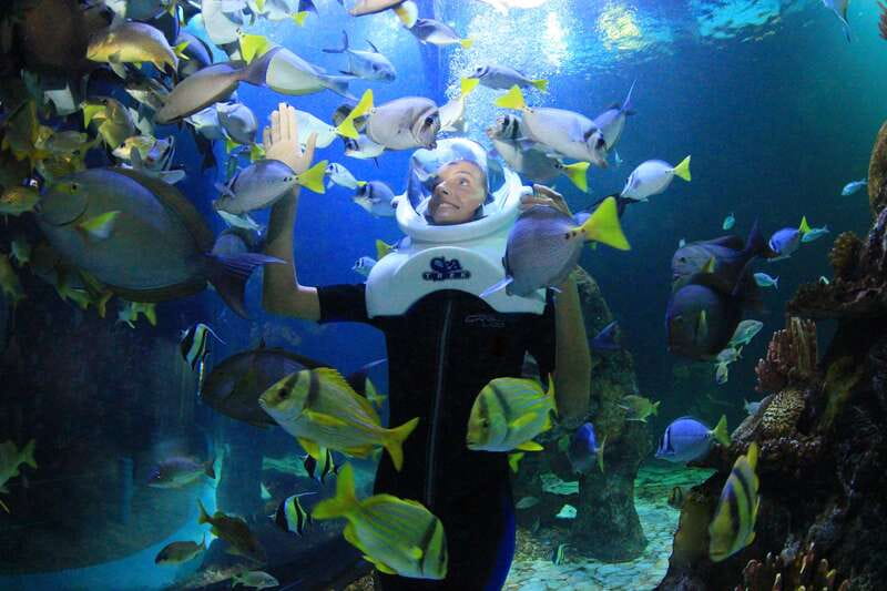 Cancun: Interactive Aquarium - Swim with dolphins Premium - Who this experience fits best in Cancun (and who should skip it)