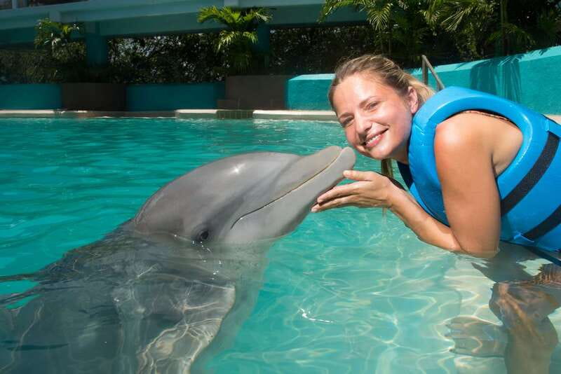 Cancun: Interactive Aquarium - Swim with Dolphins Splash - Where the Cancun Dolphin Swim Actually Starts