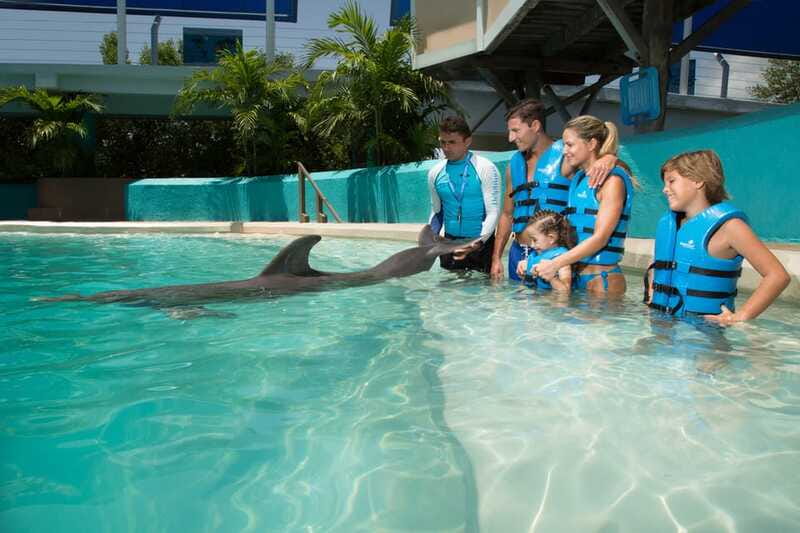 Cancun: Interactive Aquarium - Swim with Dolphins Splash - Rules That Shape Your Experience (And Your Photos)