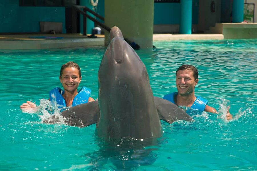 Cancun: Interactive Aquarium Ticket and Swim with Dolphins - Key Things I’d Focus On