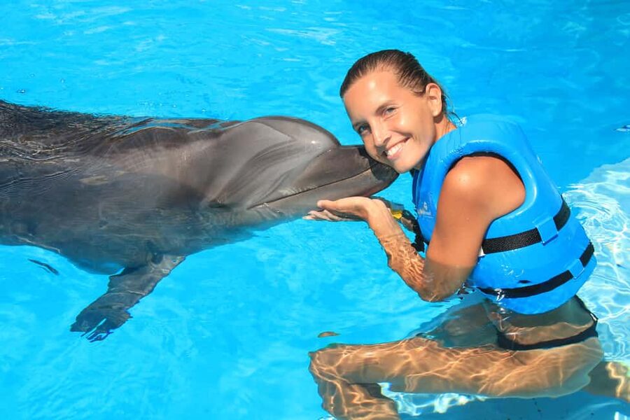 Cancun: Interactive Aquarium Ticket and Swim with Dolphins - Interactive Aquarium Cancun: Where You Start and What That Means
