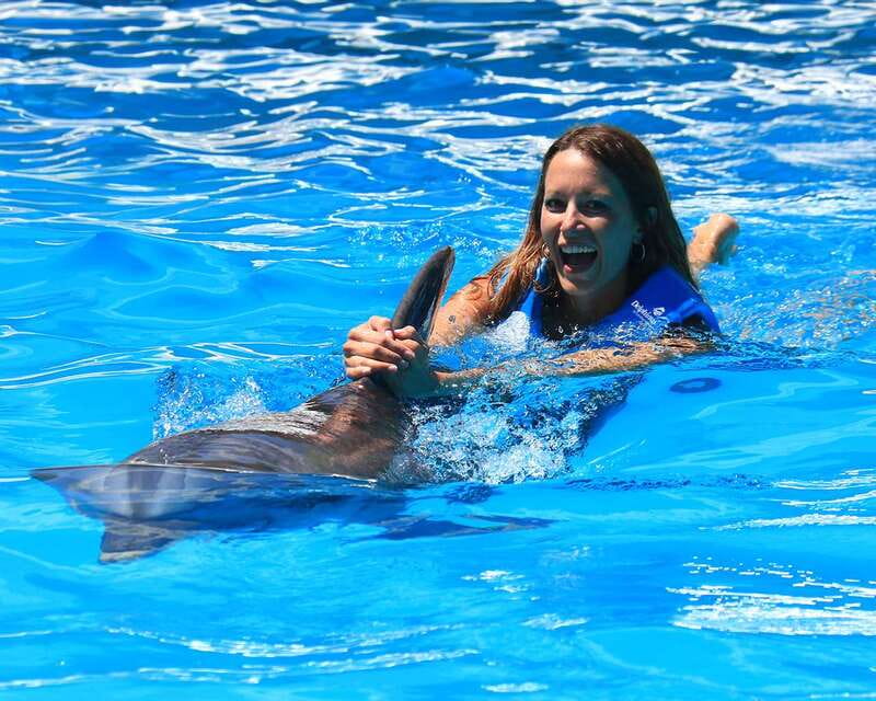 Cancun: Interactive Aquarium Ticket and Swim with Dolphins - The Dolphin Session Setup: Games, Touch, and 30 Minutes in the Water
