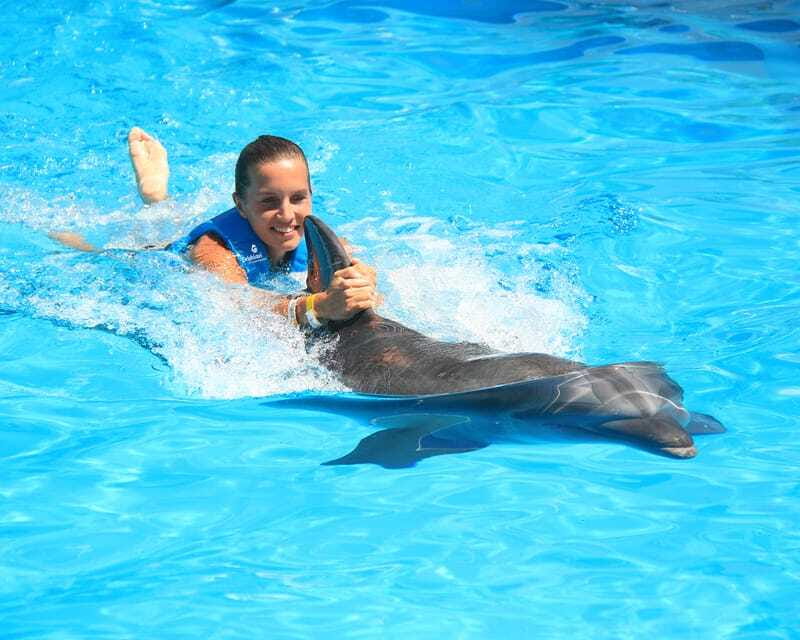 Cancun: Interactive Aquarium Ticket and Swim with Dolphins - Rules That Change Your Experience: No Cellphones, No Cameras, No Jewelry