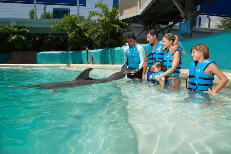 Cancun: Interactive Aquarium Ticket and Swim with Dolphins - What You Actually Get: Aquarium Admission Plus a Dolphin Presentation
