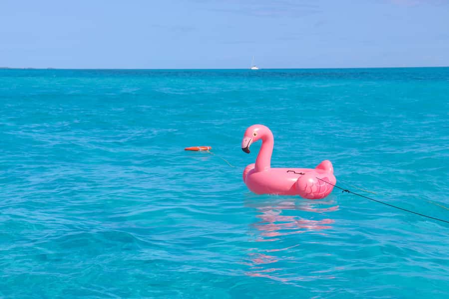 Cancun: Isla Mujeres Full Day Dancer Cruise - Food and Premium Open Bar: The Part That Keeps the Mood Up