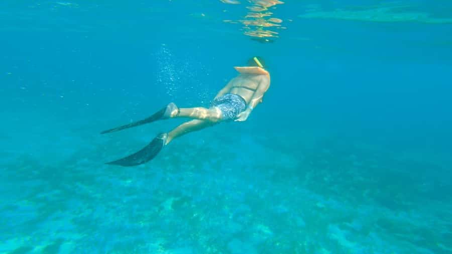 Cancun: Isla Mujeres Full Day Dancer Cruise - The 7-Hour Rhythm: Breakfast, Reef Time, Island Roam, DJ Return