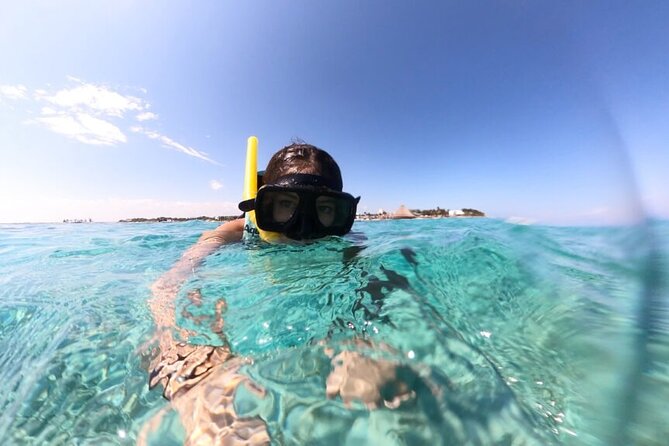 Cancun Jungle Tour with Speedboat and Snorkeling - A fast, jungle-and-reef day from the hotel zone