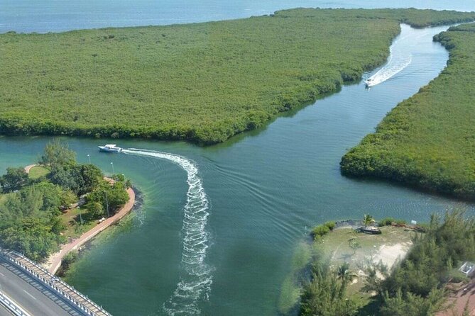 Cancun Jungle Tour with Speedboat and Snorkeling - Nichupté Lagoon: mangroves, wildlife habitat, and a guide-led route