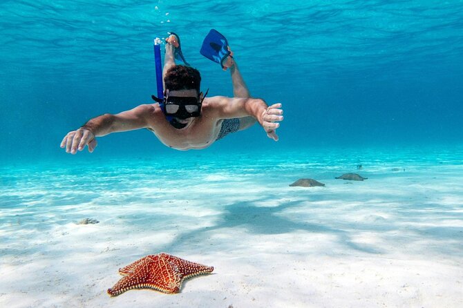 Cancun Jungle Tour with Speedboat and Snorkeling - The actual snorkeling plan: 30 minutes on the Cancun Reef