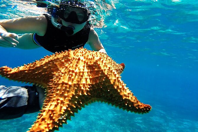 Cancun Jungle Tour with Speedboat and Snorkeling - What I’d personally prioritize during the day