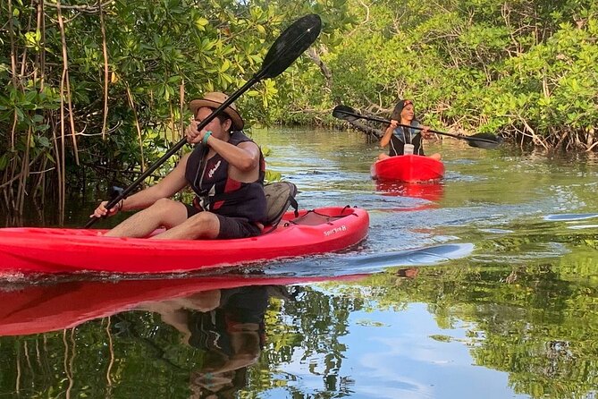 Cancun Lagoon Sunset Kayak Adventure - The Warm-Up and Safety Lesson You Actually Need