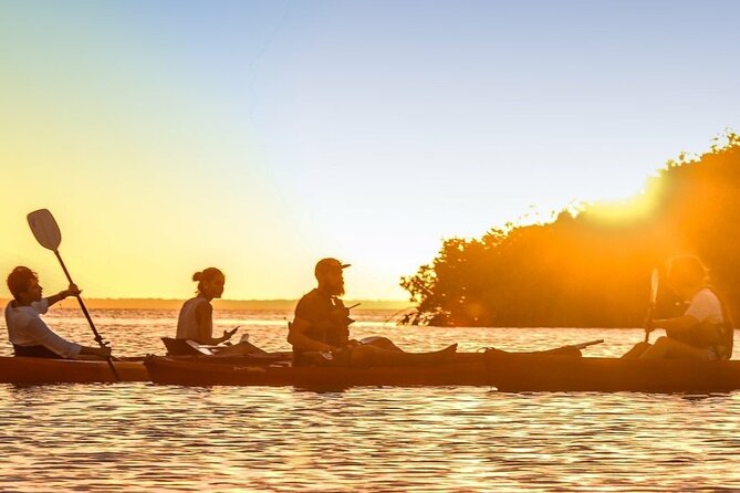 Cancun Lagoon Sunset Kayak Adventure - Paddling Through the Mangroves at Laguna Nichupté
