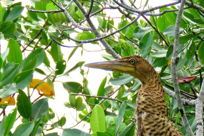 Cancun Lagoon Sunset Kayak Adventure - Snacks, Water, and Keeping Energy for the Last Stretch
