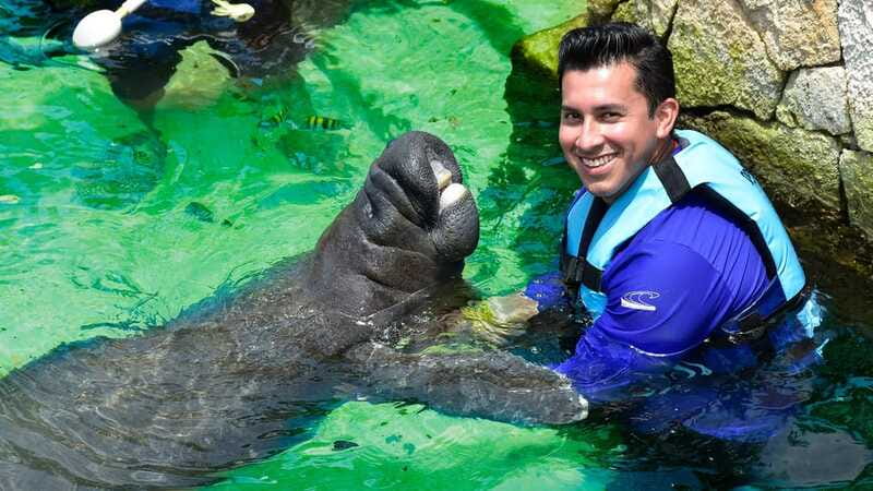Cancun: Manatee Swimming on Isla Mujeres with Buffet Lunch - Price and Value: Where the Real Costs Show Up