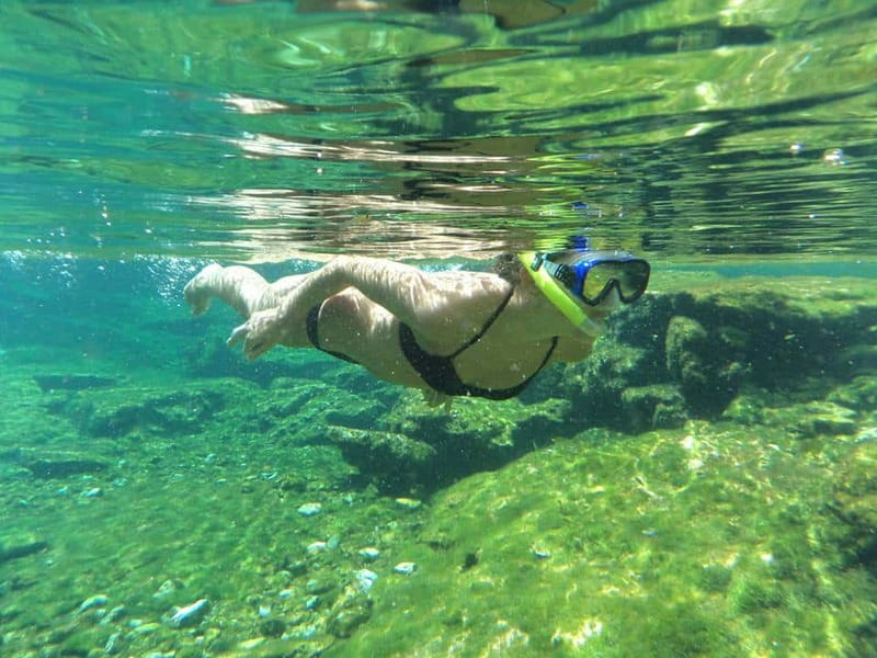 Cancun: Marine Turtle Observation in Akumal - Price and value check: what $135 covers, and what can add up