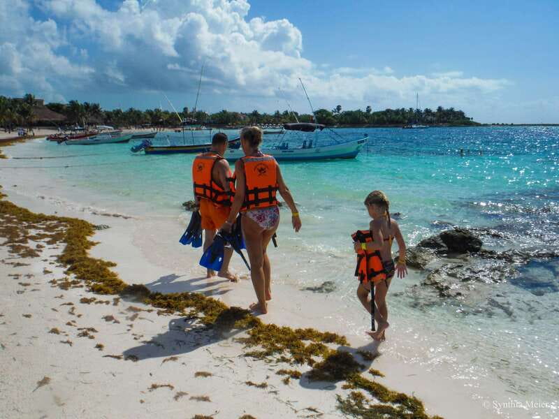 Cancun: Marine Turtle Observation in Akumal - How to make Akumal feel respectful, not rushed