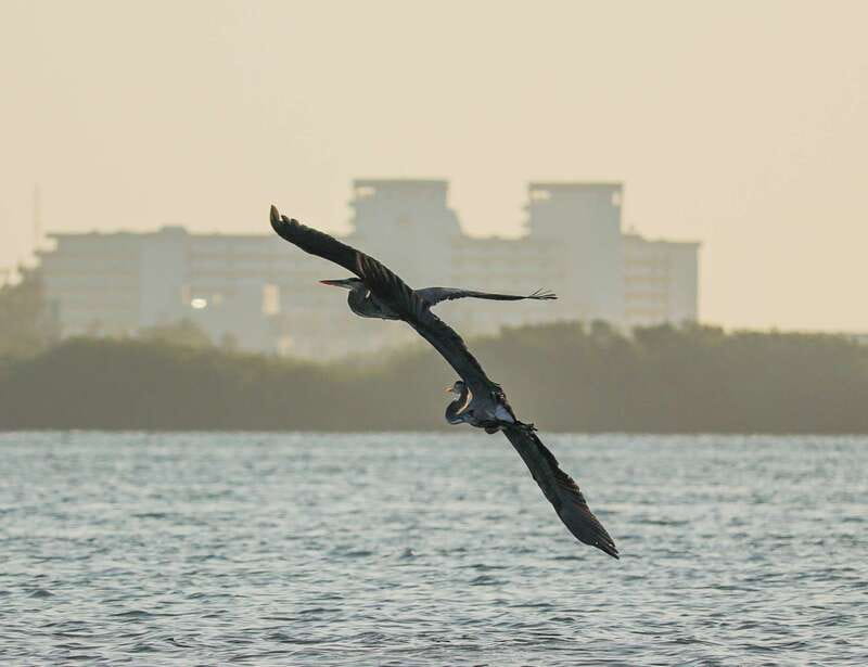 Cancun: Morning Kayak Adventure - Price and value: is $47 a fair deal for Cancun?
