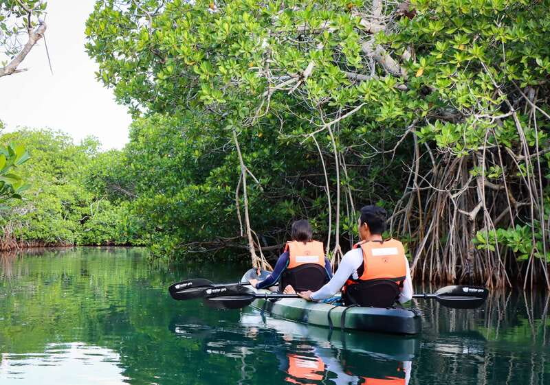 Cancun: Morning Kayak Adventure - What to bring (so you stay comfortable in the mangroves)
